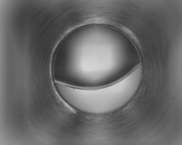 X0000075881334200609150957
