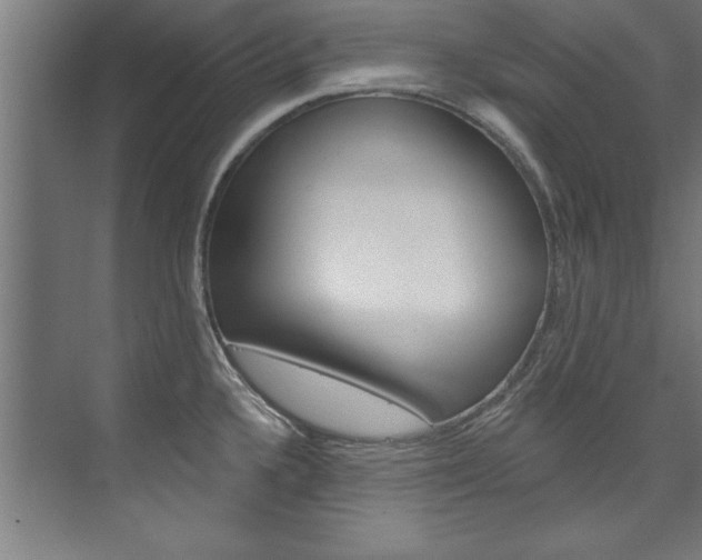 X0000075881336200609150957