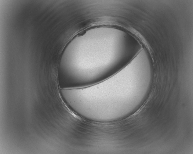 X0000075881337200609150957