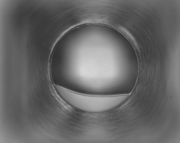 X0000075881340200609150957