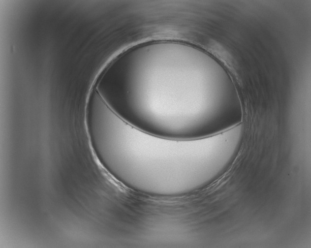 X0000075881342200609150957