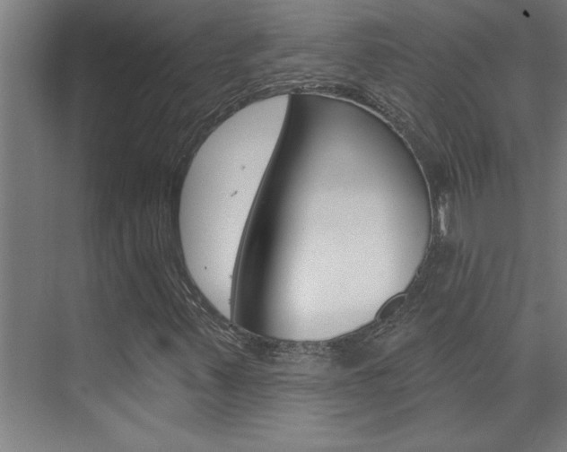 X0000075881347200609150957