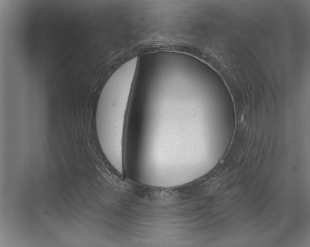 X0000075881348200609150957