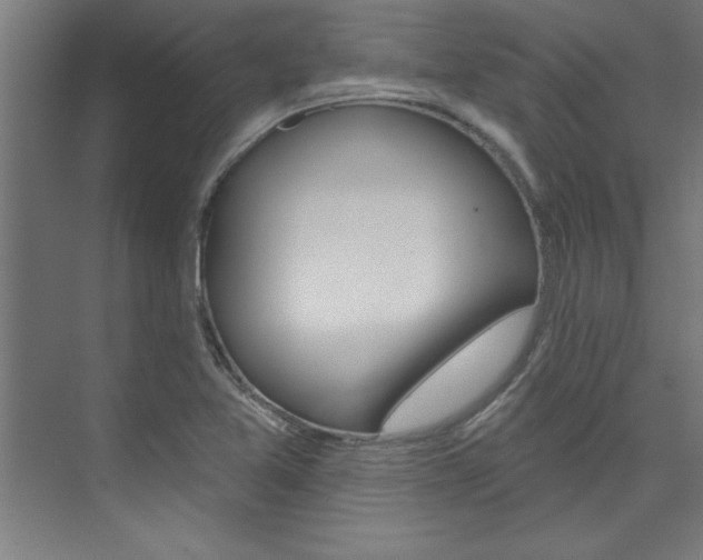 X0000075881365200609150956
