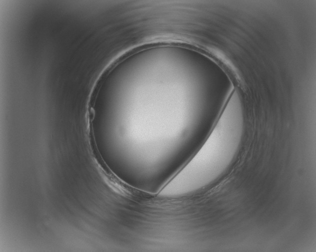 X0000075881372200609150956