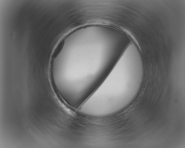 X0000075881379200609150956