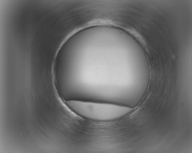 X0000075881382200609150956