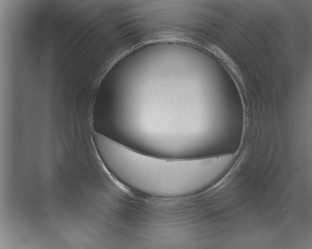 X0000075881385200609150956