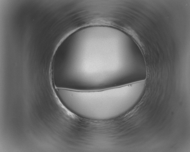 X0000075881387200609150956