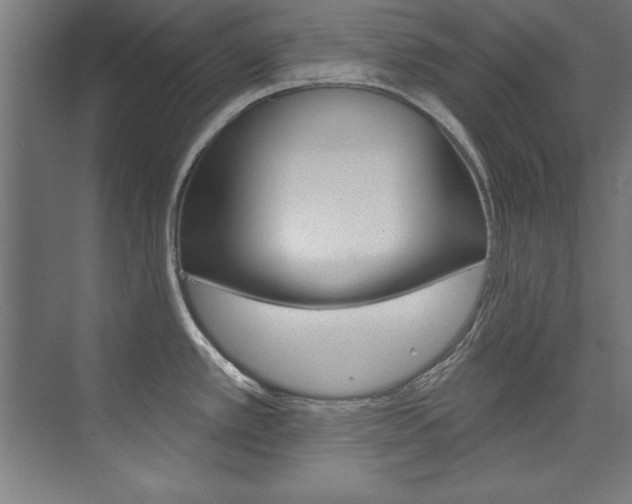 X0000075881389200609150956
