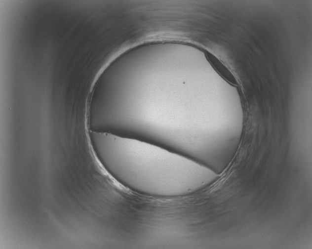 X0000075881390200609150956