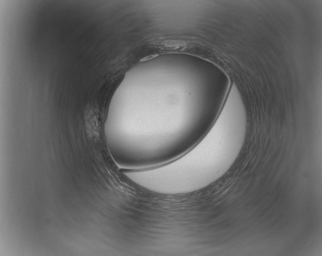 X0000075881394200609150955