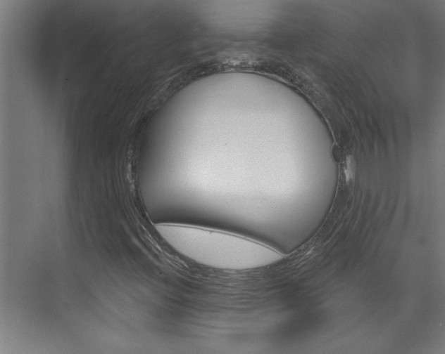 X0000075881396200609150955