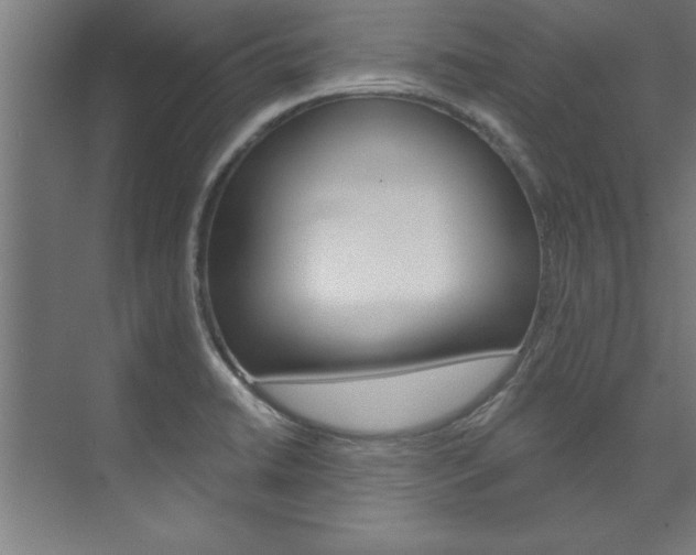 X0000075881422200609150955
