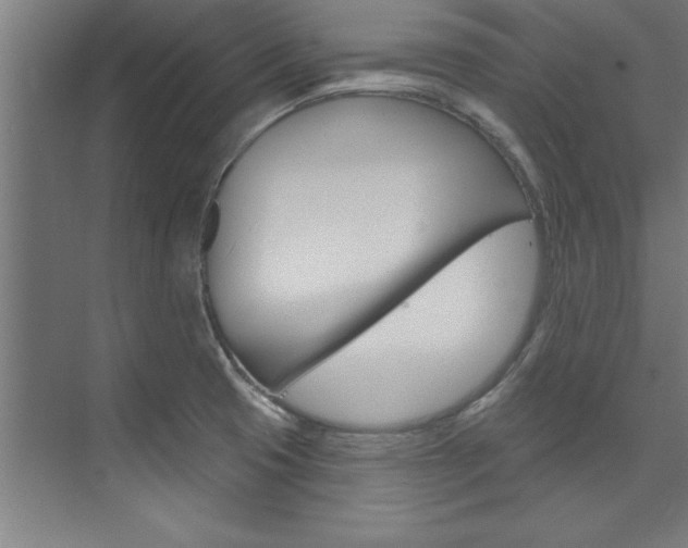 X0000075881425200609150956