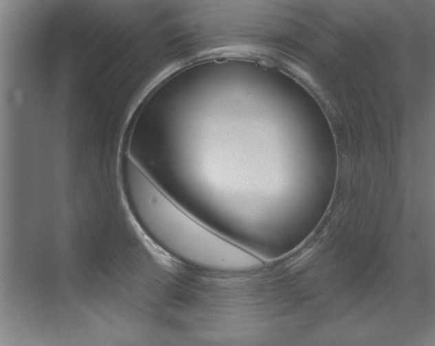 X0000075881426200609150956