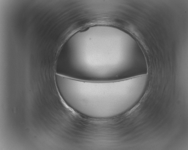 X0000075881433200609150956