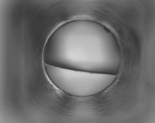 X0000075881440200609150956
