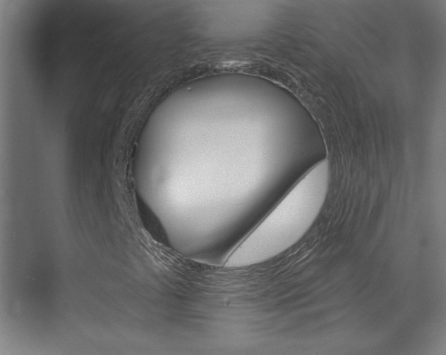 X0000075881441200609150955