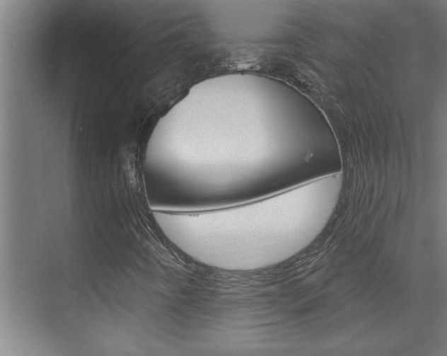 X0000075881442200609150955