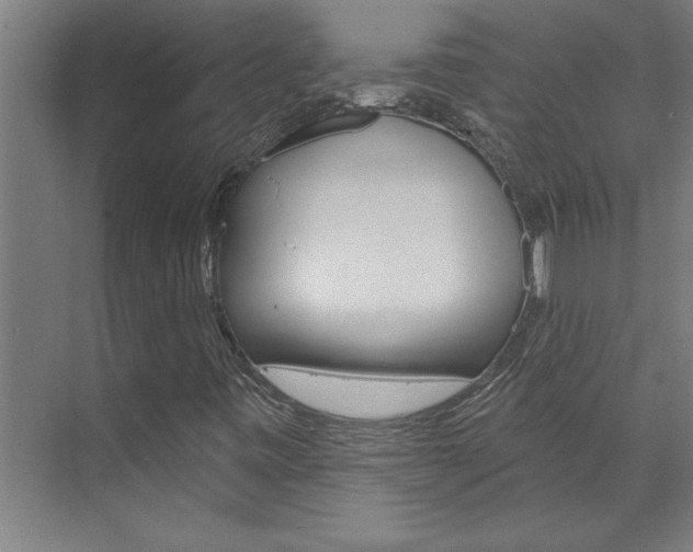 X0000075881443200609150955