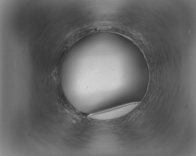 X0000075881445200609150955
