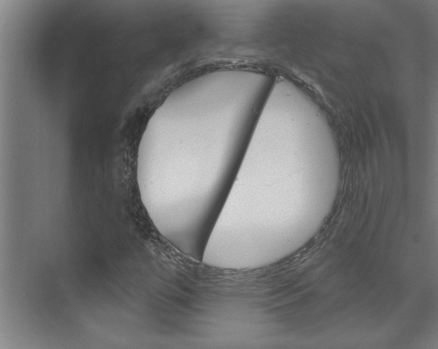 X0000075881447200609150955