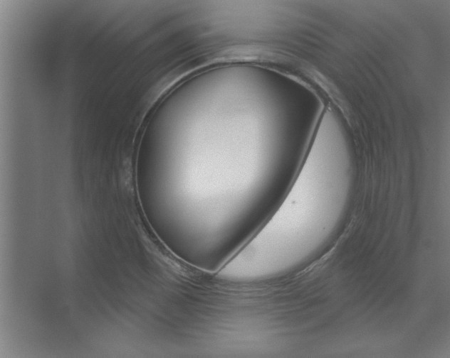 X0000075881465200609150955