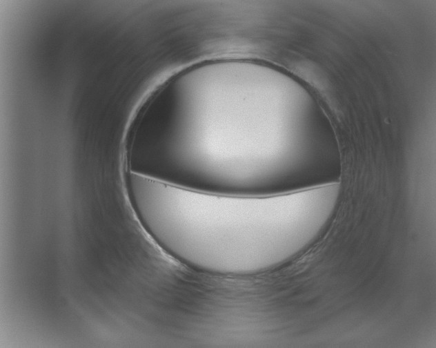 X0000075881472200609150954