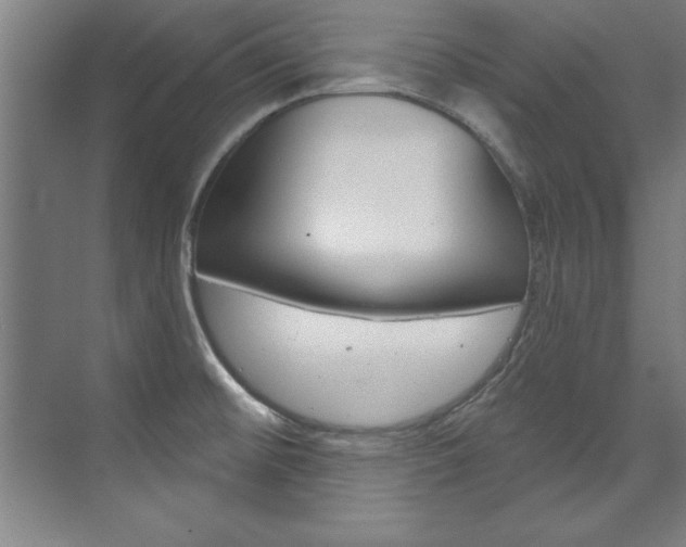 X0000075881476200609150954