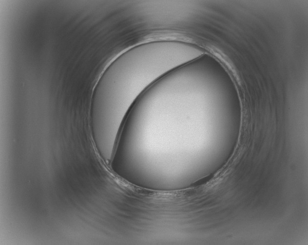 X0000075881481200609150954