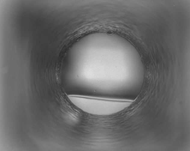 X0000075881490200609150953