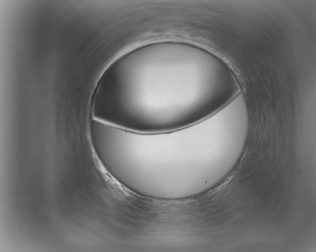 X0000075881534200609150954