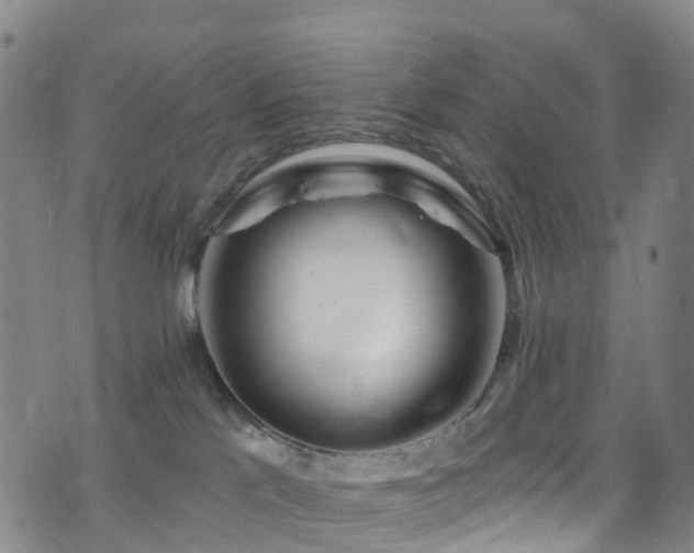 X0000075880041200609151327