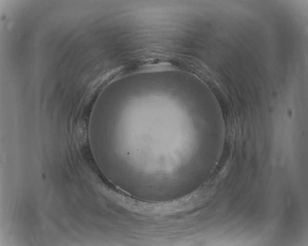 X0000075880043200609151327