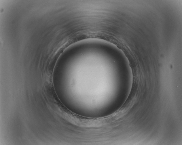 X0000075880044200609151327