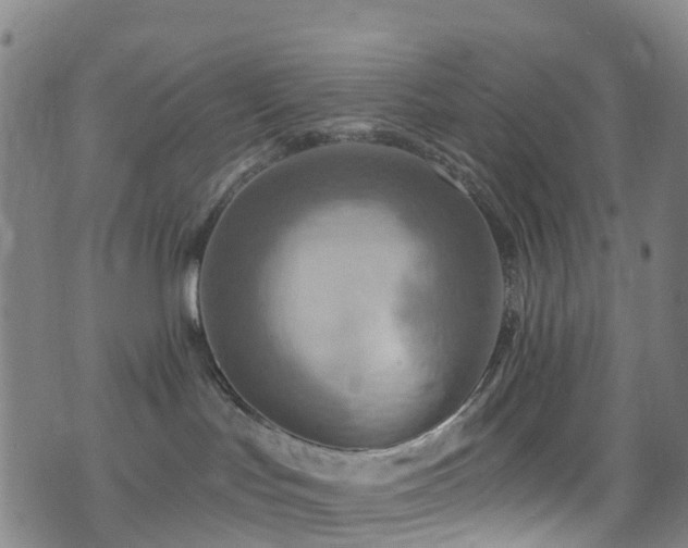 X0000075880047200609151327