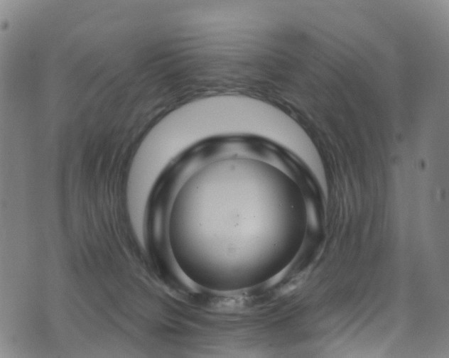 X0000075880084200609151327