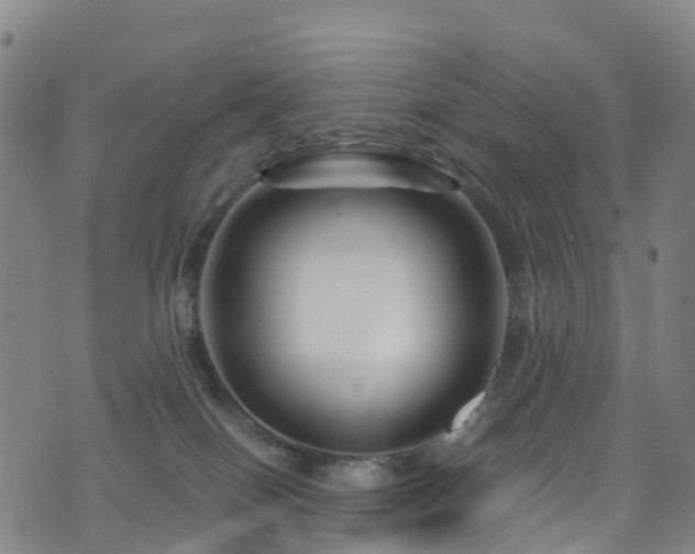 X0000075880086200609151327