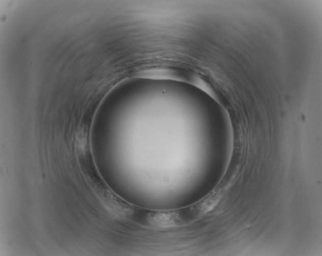 X0000075880129200609151326