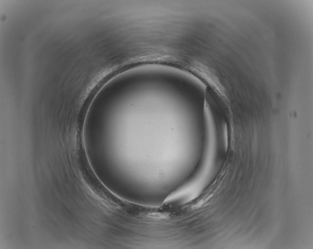 X0000075880156200609151325