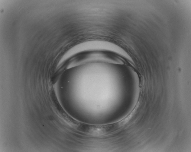 X0000075880174200609151325