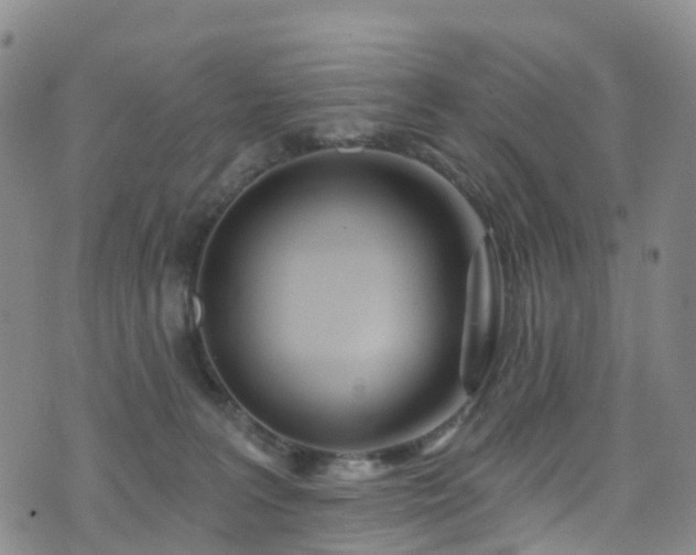 X0000075880227200609151324