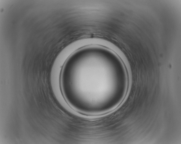 X0000075880277200609151324