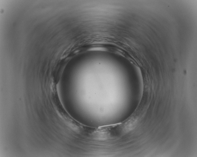 X0000075880280200609151324