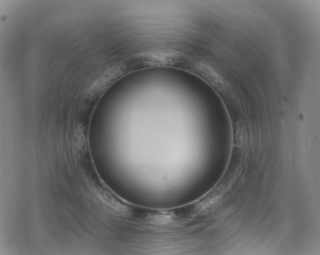 X0000075880318200609151323
