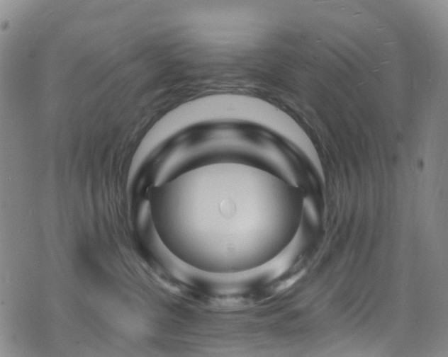 X0000075880380200609151322