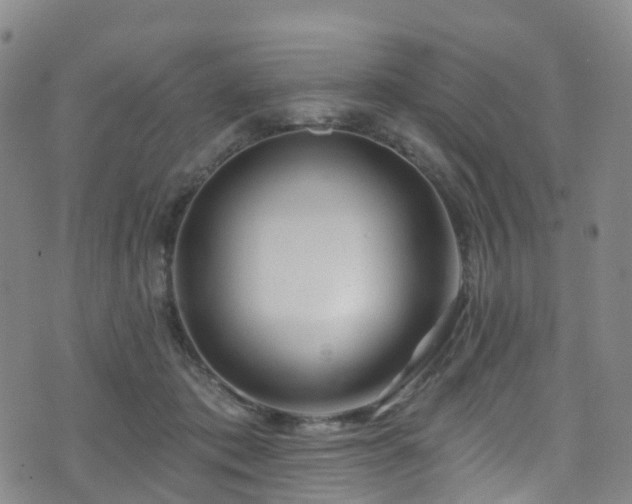 X0000075880413200609151321