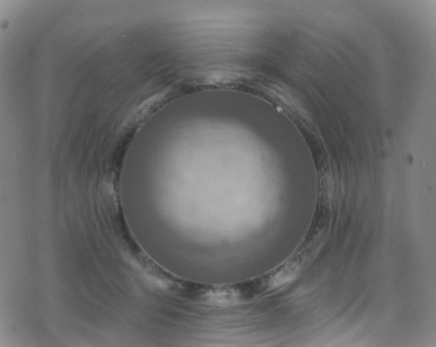 X0000075880415200609151321