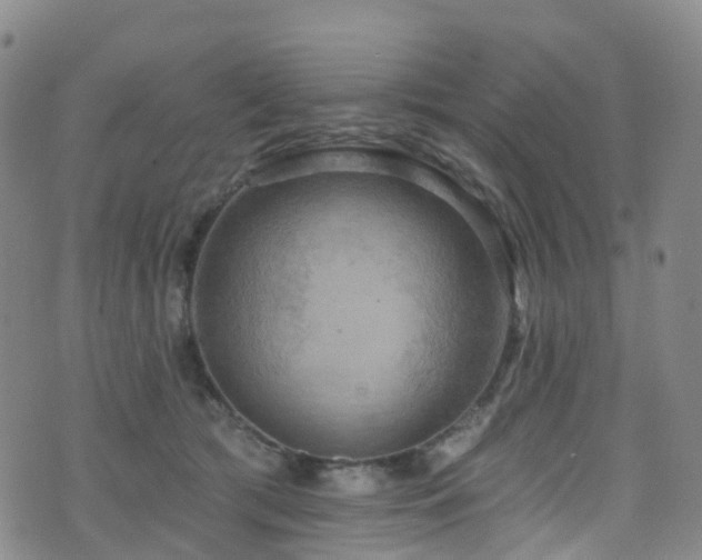 X0000075880417200609151321